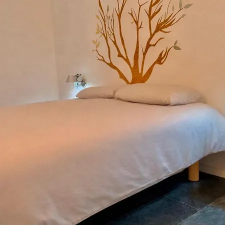 Apartament Coral Rojo